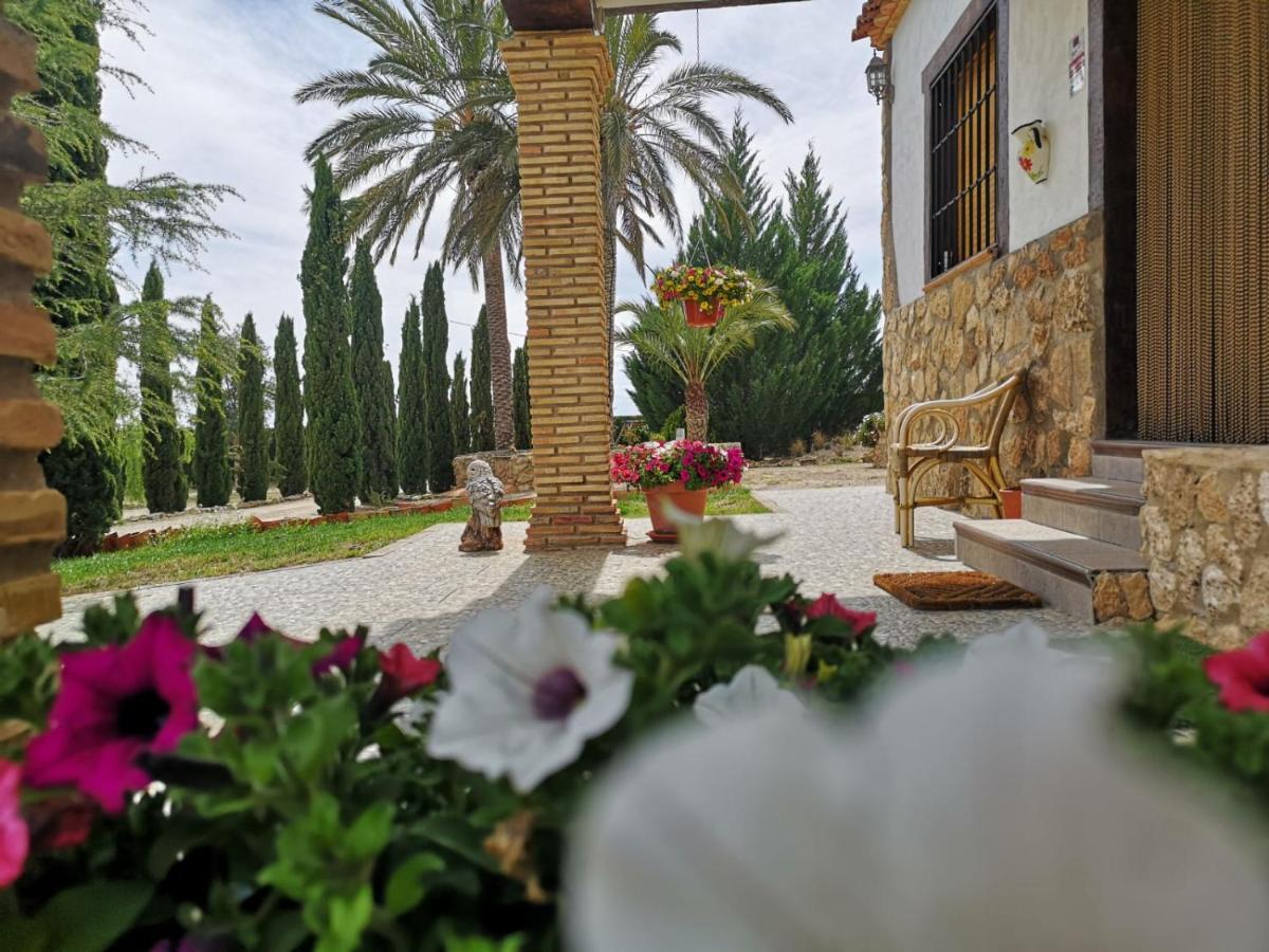 Casa Rural Las Palmeras Tobarra المظهر الخارجي الصورة